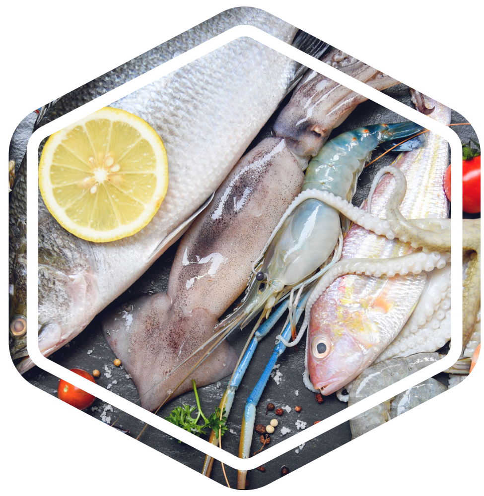 HEXAGON VISSPECIALITEITEN.png